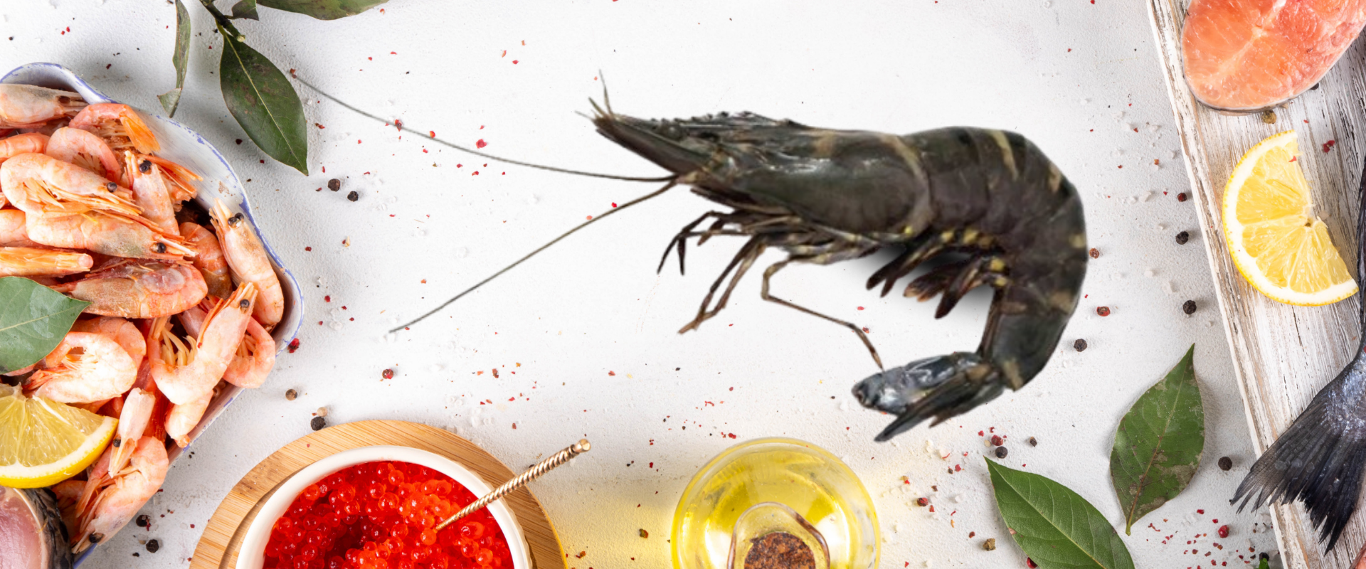 Slider Banner